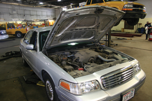 1169821812030 10334033