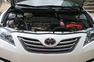 1186694007367 10333944