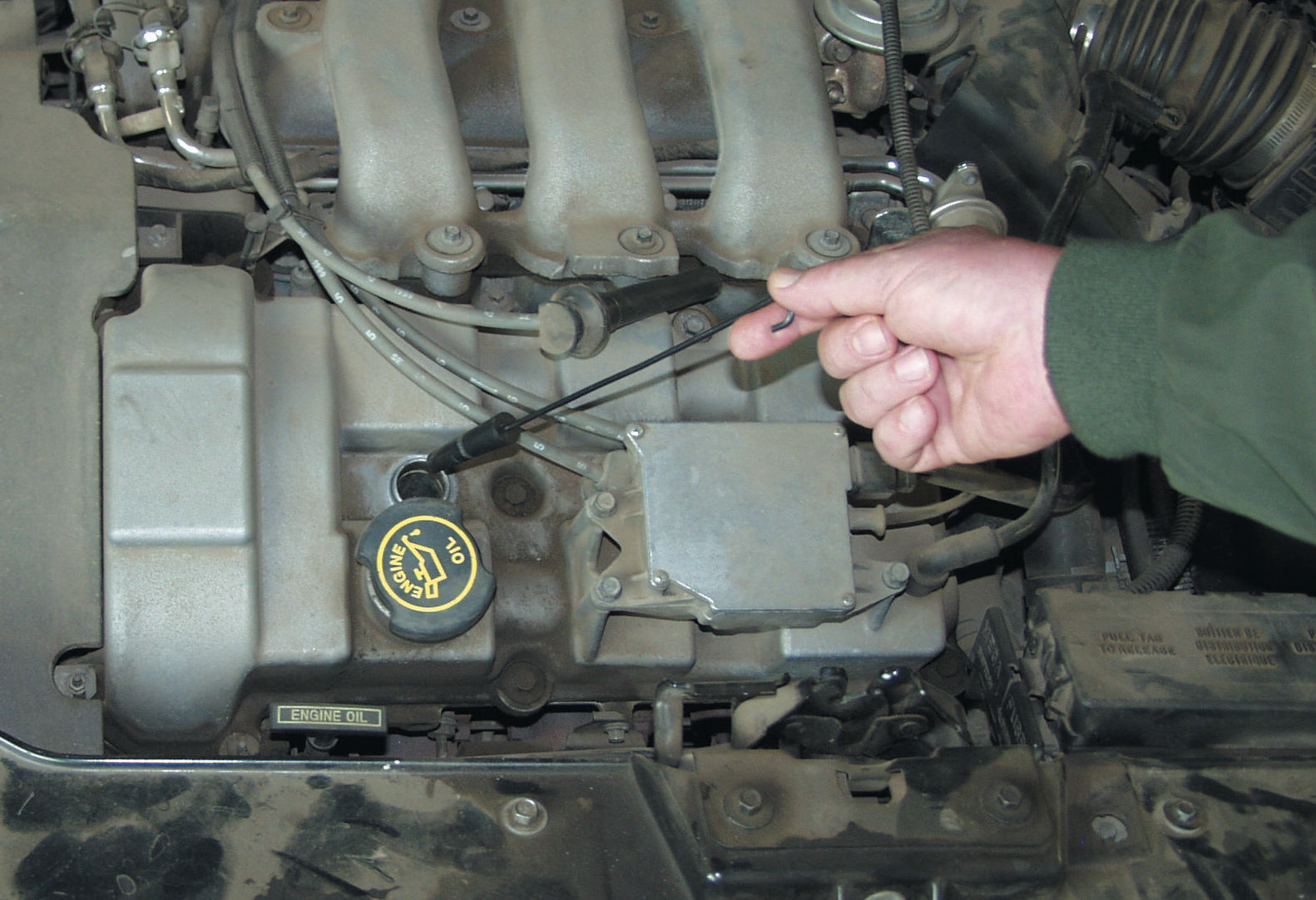 Taperedplugstoppers 10098664