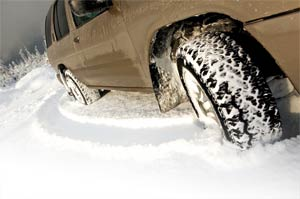 1207770294236 10331170