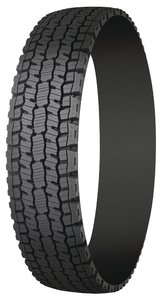 1210016010731 10331145