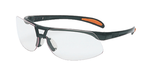 Protegesafetyeyewear 10101734