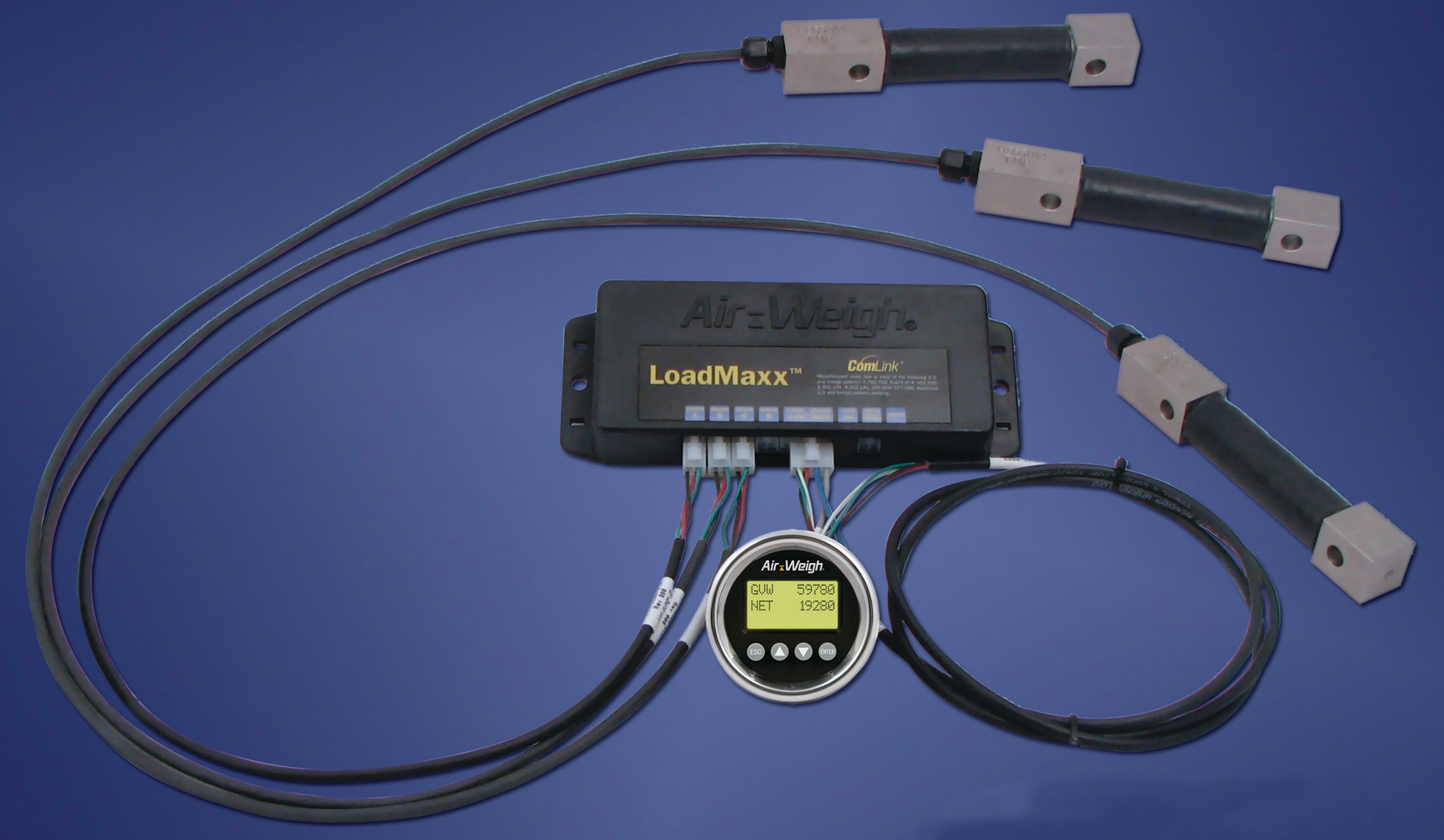 Digitalonboardscales 10129879