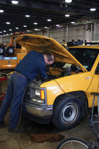 1225288282175 10331010