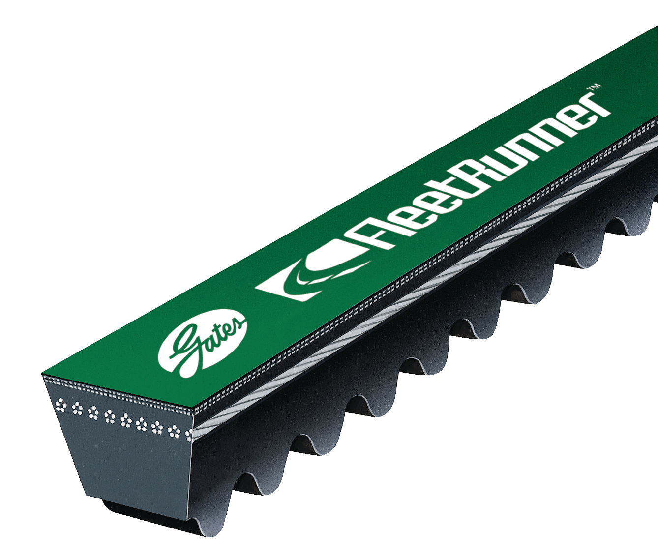 Fleetrunnerbelts 10126264