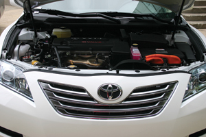 1244475313998 10330339