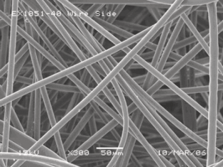 Synteqxptechnology 10130693