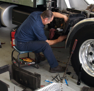 1271445143054 10329404