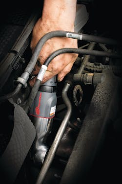 Hammerhea 10163328 Hammerhea 10163328