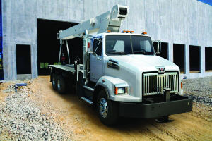 Westernstarntea 10240408