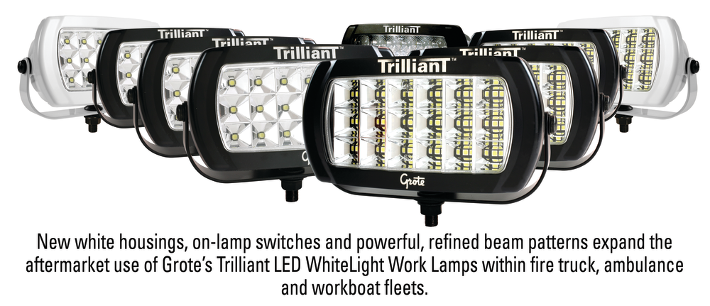 112111trilliantlamps 10453021