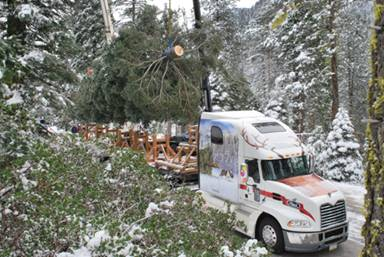 The 2011 U.S. Capitol Christmas Tree, a 65-foot white fir, leaves the Stanislaus National Forest aboard the custom-decorated Mack Pinnacle tractor, starting its journey through California and across the country to Washington, DC.