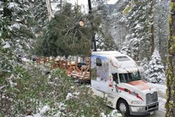 The 2011 U.S. Capitol Christmas Tree, a 65-foot white fir, leaves the Stanislaus National Forest aboard the custom-decorated Mack Pinnacle tractor, starting its journey through California and across the country to Washington, DC. The 2011 U.S. Capitol Christmas Tree, a 65-foot white fir, leaves the Stanislaus National Forest aboard the custom-decorated Mack Pinnacle tractor, starting its journey through California and across the country to Washington, DC.