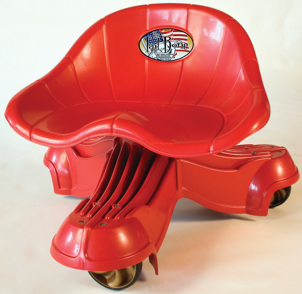 Daleadamstailbone 10577360