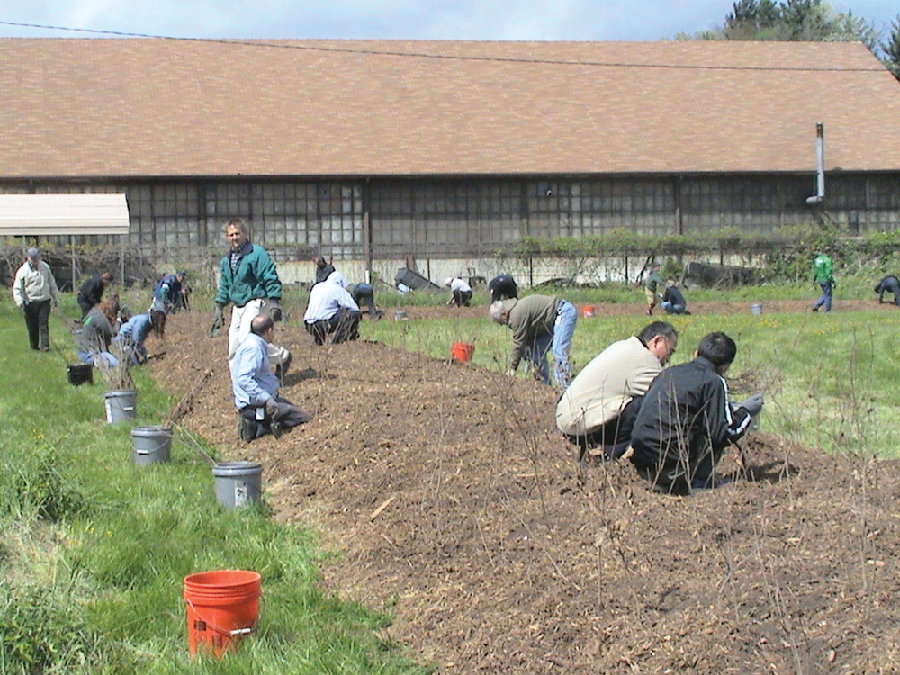 Yokohamasalemforeverforest 10694430