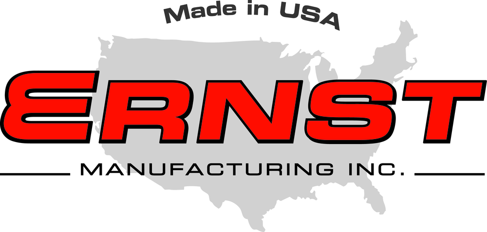 Ernst Logo Color