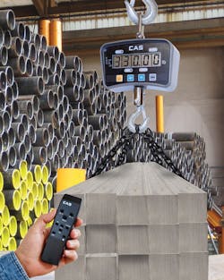 IE Series Crane Scales IE Series Crane Scales