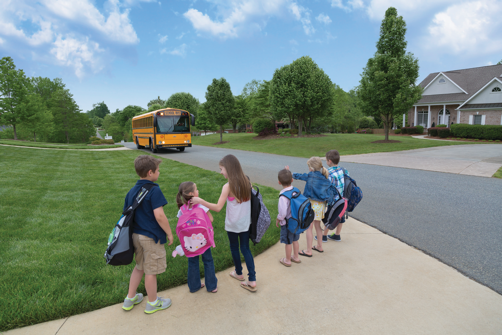 While bus and truck fleets enjoy fuel savings and a boost in their image from their environmental efforts from using alternative fuel vehicles, there are other factors to think about, including initial costs, fueling stations, maintenance and safety measures.