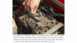 Bully Dog Installation With Caption 544fbd71b5b8d Bully Dog Installation With Caption 544fbd71b5b8d