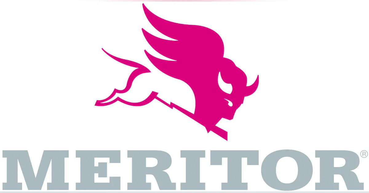 Meritor introduces first automatic tire inflation system for linehaul ...