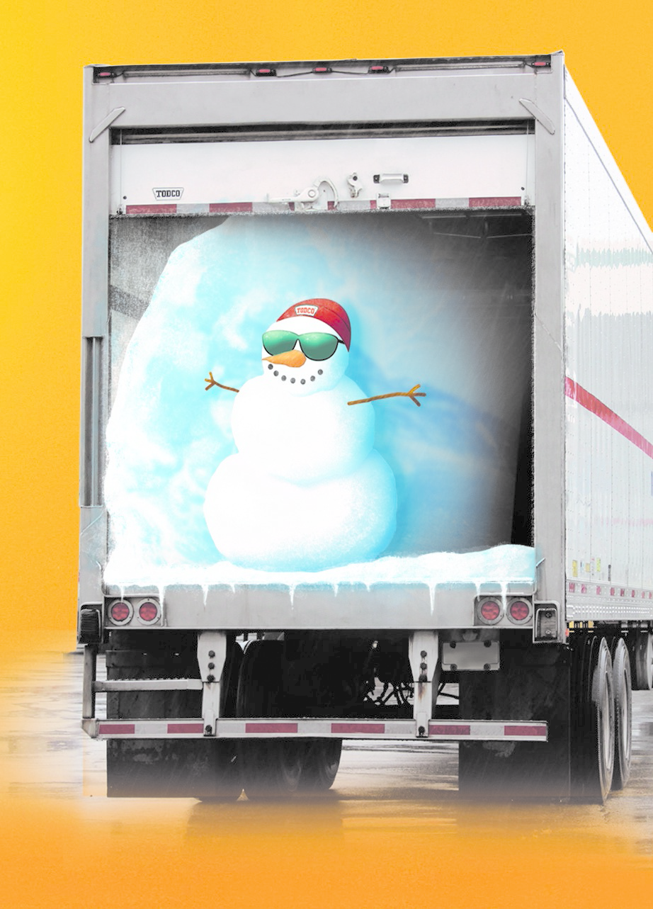 todcold snowman 56005ee323e51