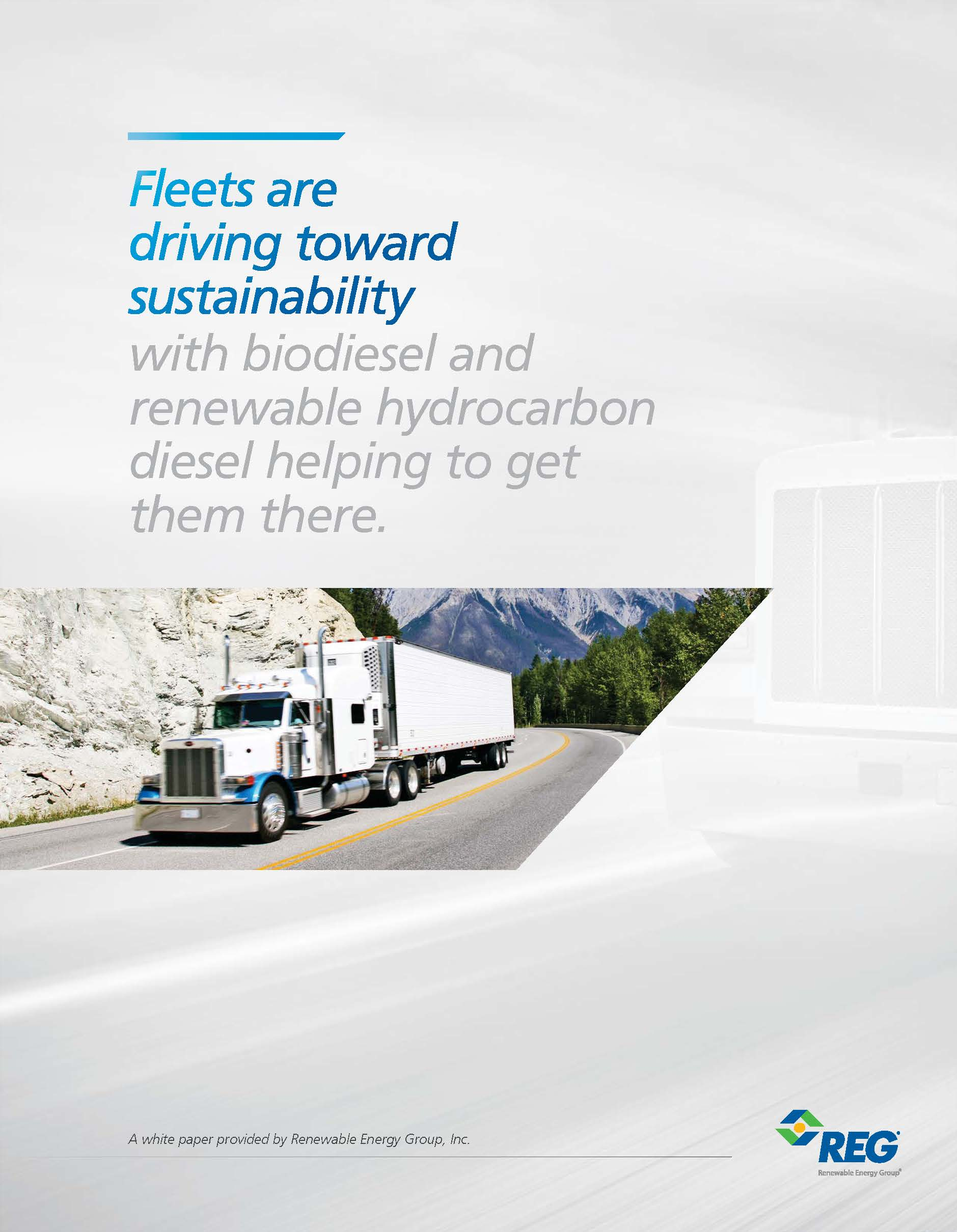 Reg Fleet Sustainability White Paper Pg1 56719dfd27d13