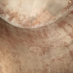 DFW Tank before. DFW Tank before.