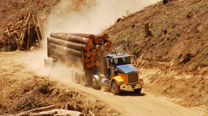 Capture 598882a817631