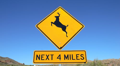 This is the season when there is a sizeable increase in the movement of the deer population and that appreciably increases the chances for deer-vehicle collisions (DVCs). While not all such accidents can be prevented, drivers can take certain steps to help avoid them.