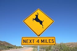 This is the season when there is a sizeable increase in the movement of the deer population and that appreciably increases the chances for deer-vehicle collisions (DVCs). While not all such accidents can be prevented, drivers can take certain steps to help avoid them. This is the season when there is a sizeable increase in the movement of the deer population and that appreciably increases the chances for deer-vehicle collisions (DVCs). While not all such accidents can be prevented, drivers can take certain steps to help avoid them.