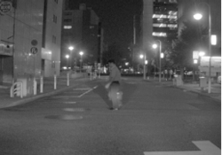 2 5a7091ad3a6f5 2 5a7091ad3a6f5