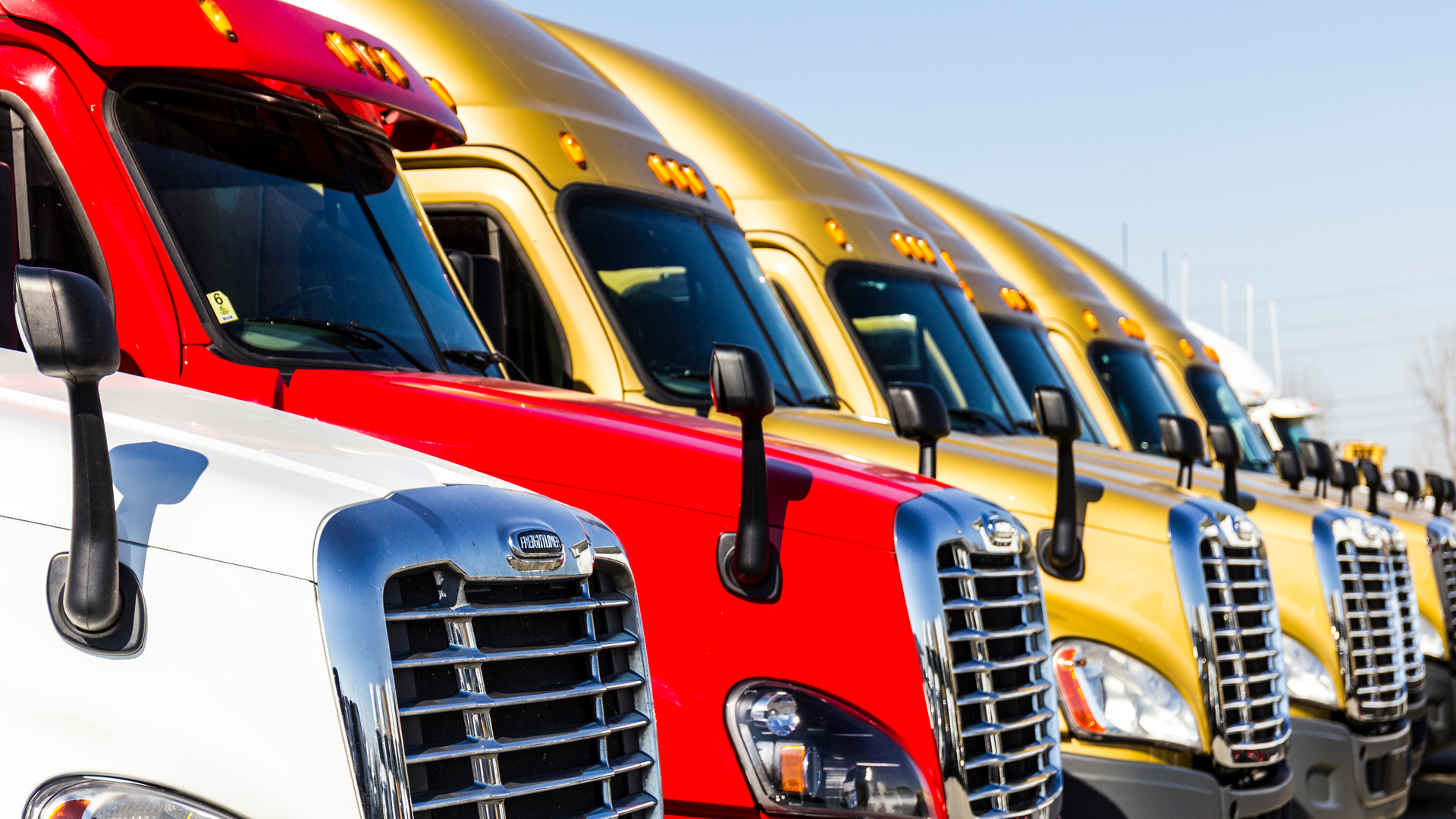 Full sensorization of vehicles helps fleet operators optimize resources, making sure assets stay on the road.