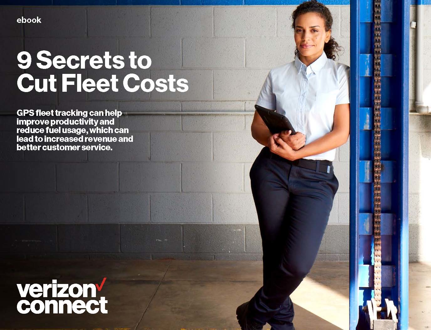 Vzc 9 Secrets E Book Page 01