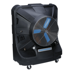 Pacjs260 Rightface 5c128bb9eee6f Pacjs260 Rightface 5c128bb9eee6f