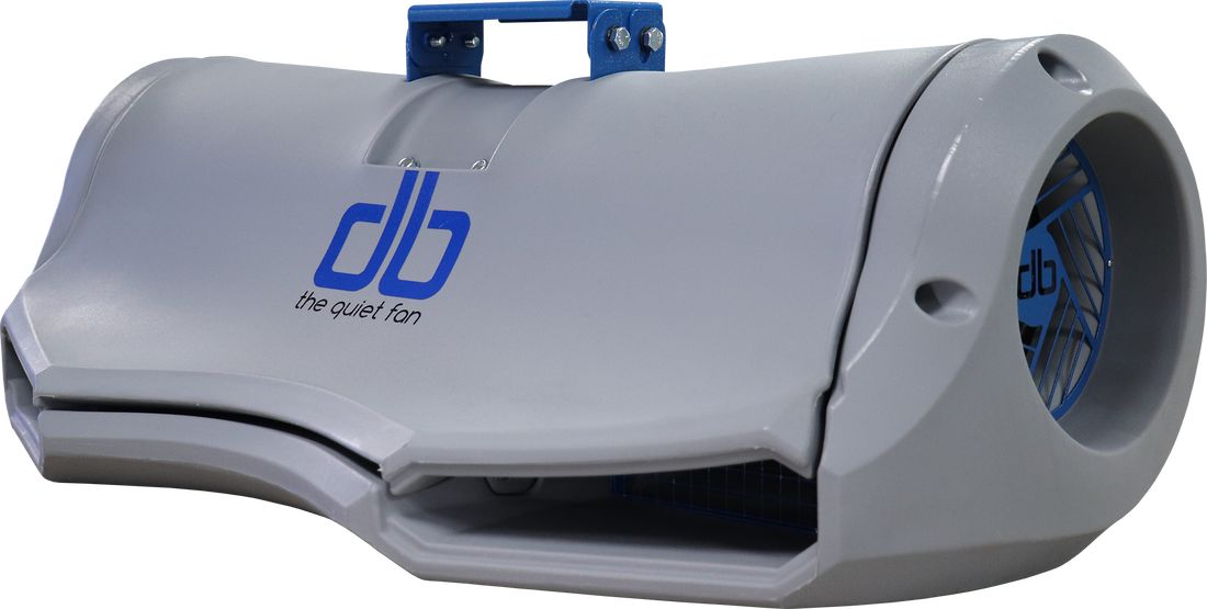 Db 2019 1920p 1 Orig