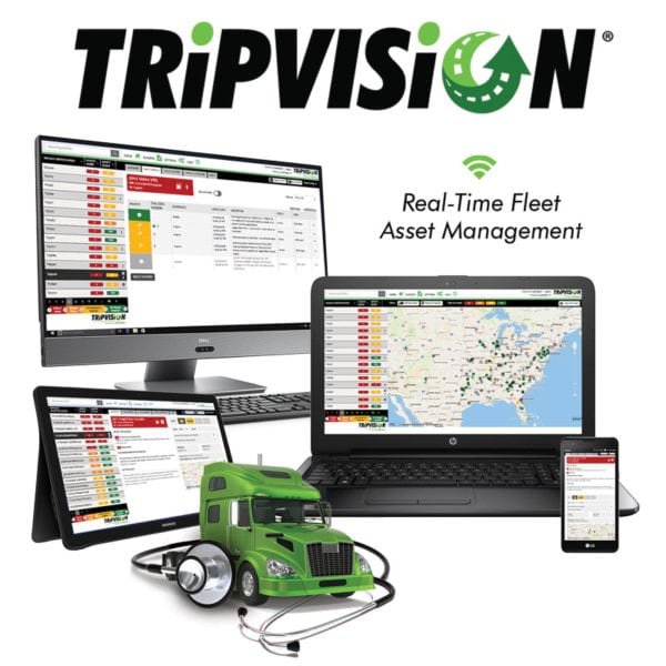 Trip Vision 800x800 Avada Grid 600x600 5d8d2d4ea7cc5