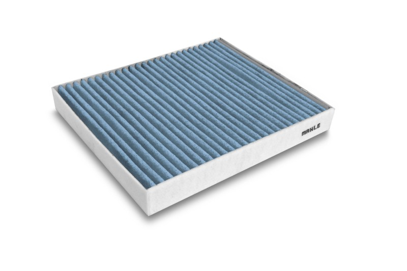 Filter Blaufaerbung Content