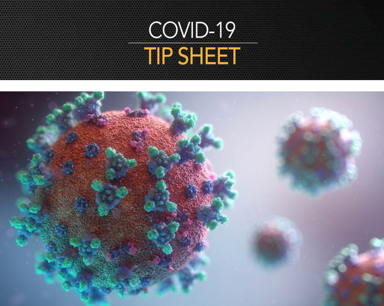 Sonnhalter Covid 19 Tip Sheet