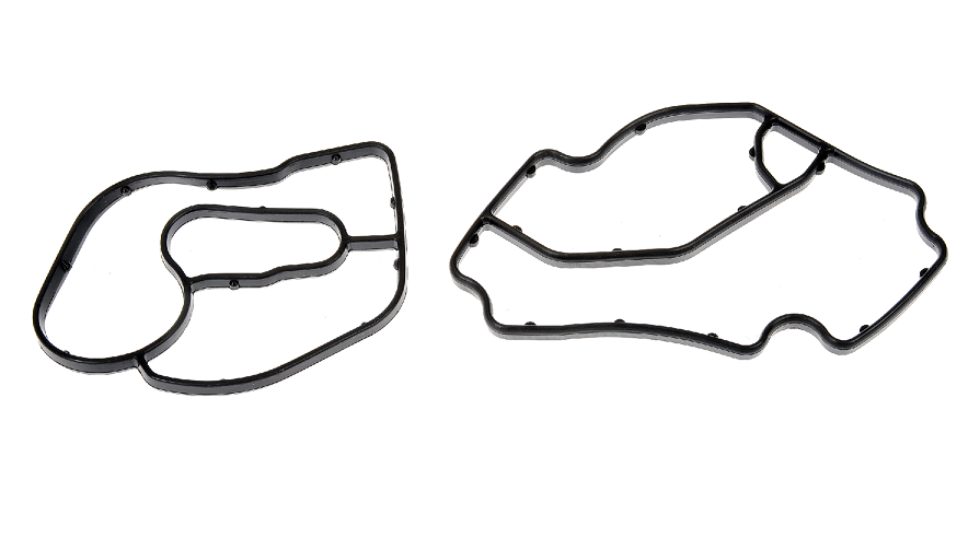 Dorman Landscape Crop