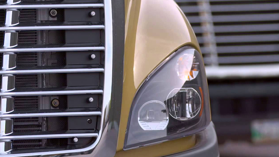 Bison Transport Decisiv 60801e7edfae8