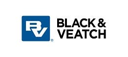19 Bv Logo Stacked Rgb 300 Resized