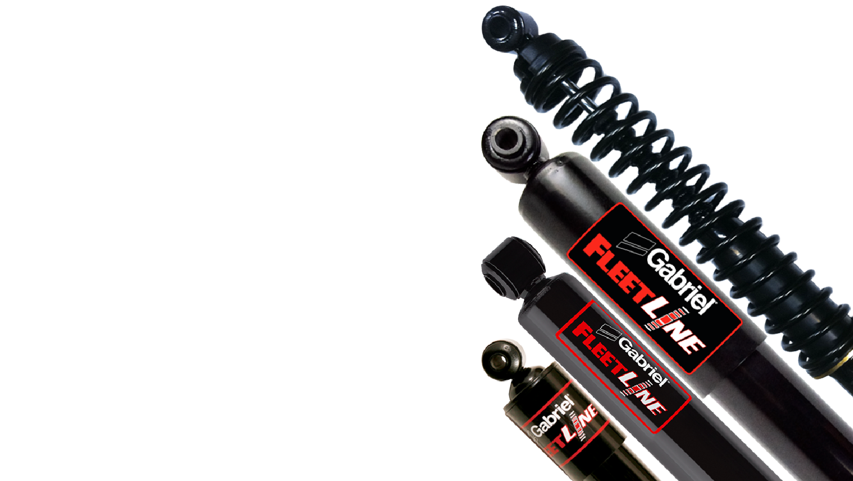 Fleetline Family Angle Web Image