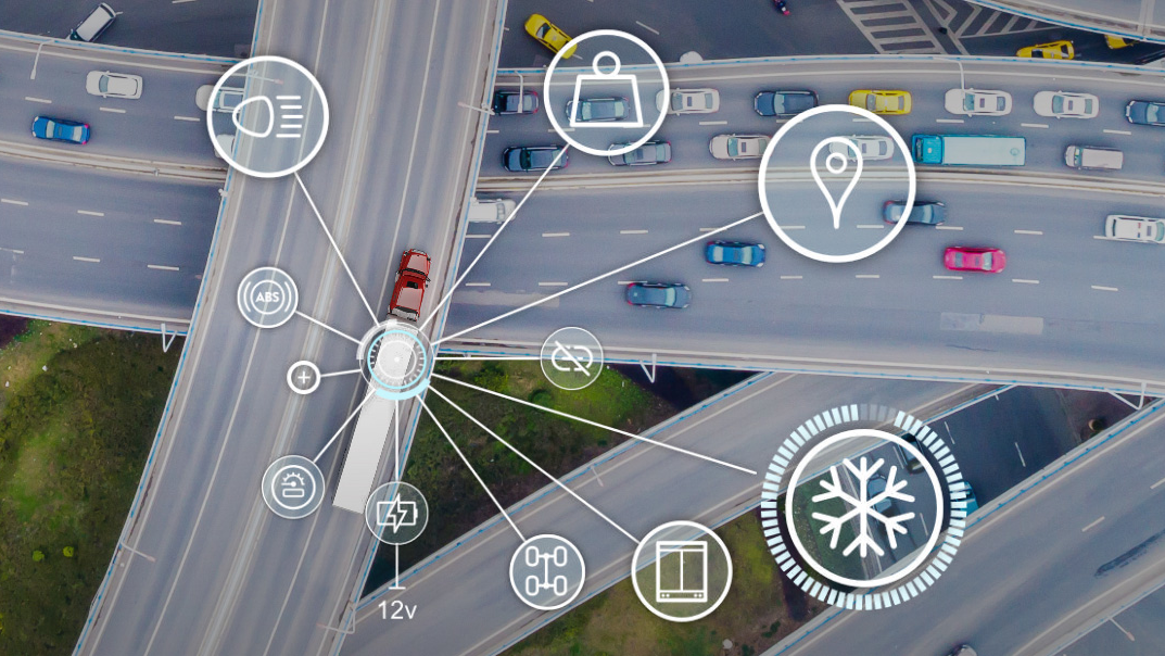 Great Dane Fleet Pulse 611bee7703bc7