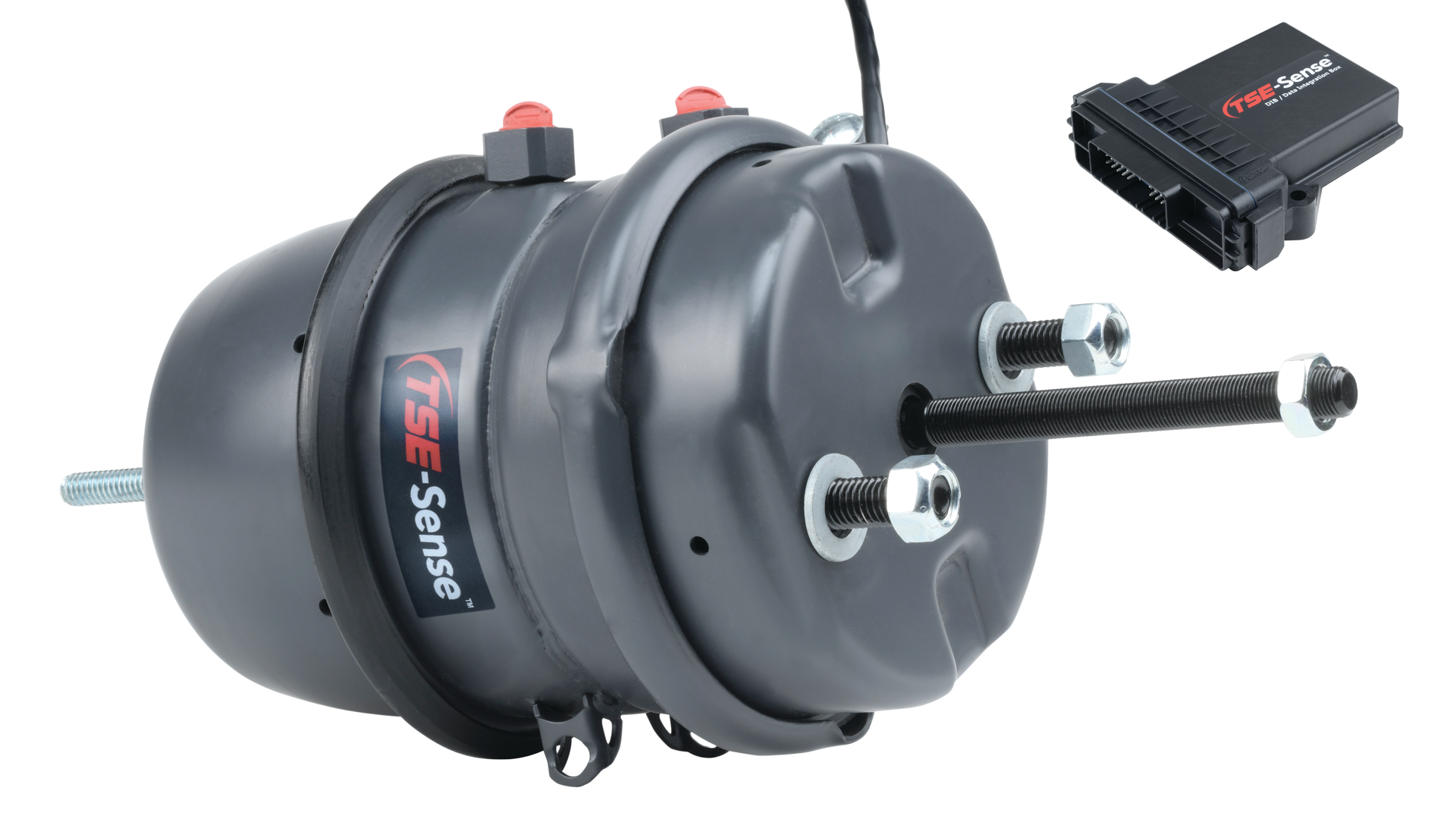 Tse Sense 6140e52075212 614355ecc9bc4