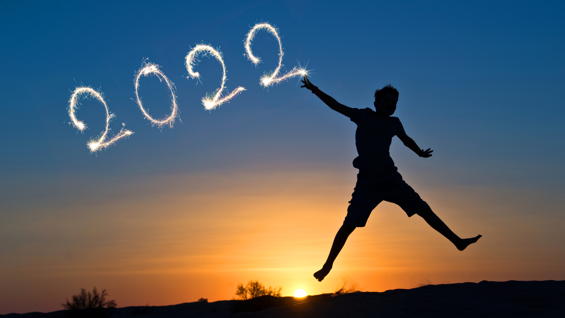 231835305 Delstudio Dreamstime 61955f2dbe9c6