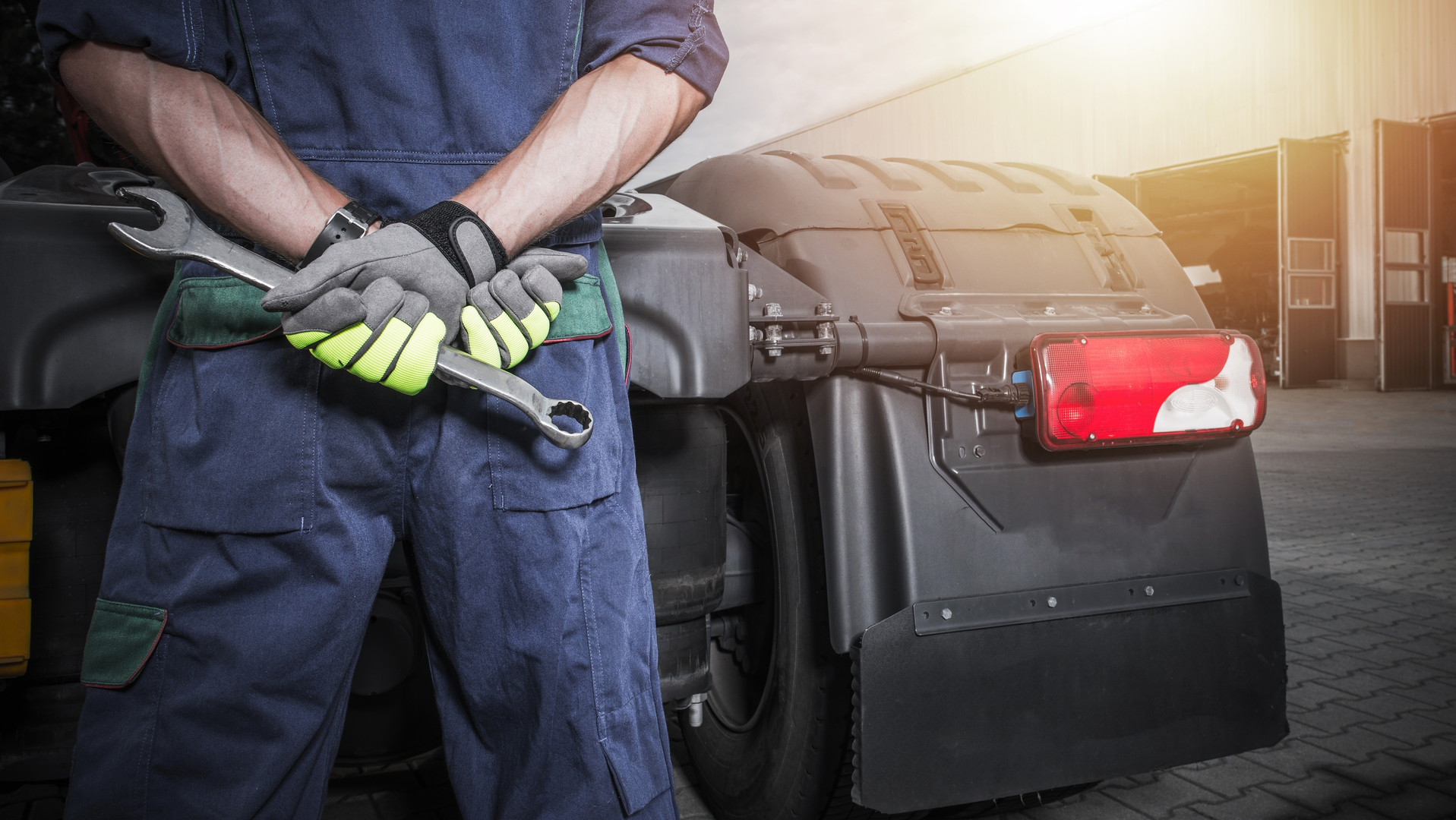 98474905 Welcomia Dreamstime 61cb2f736468a