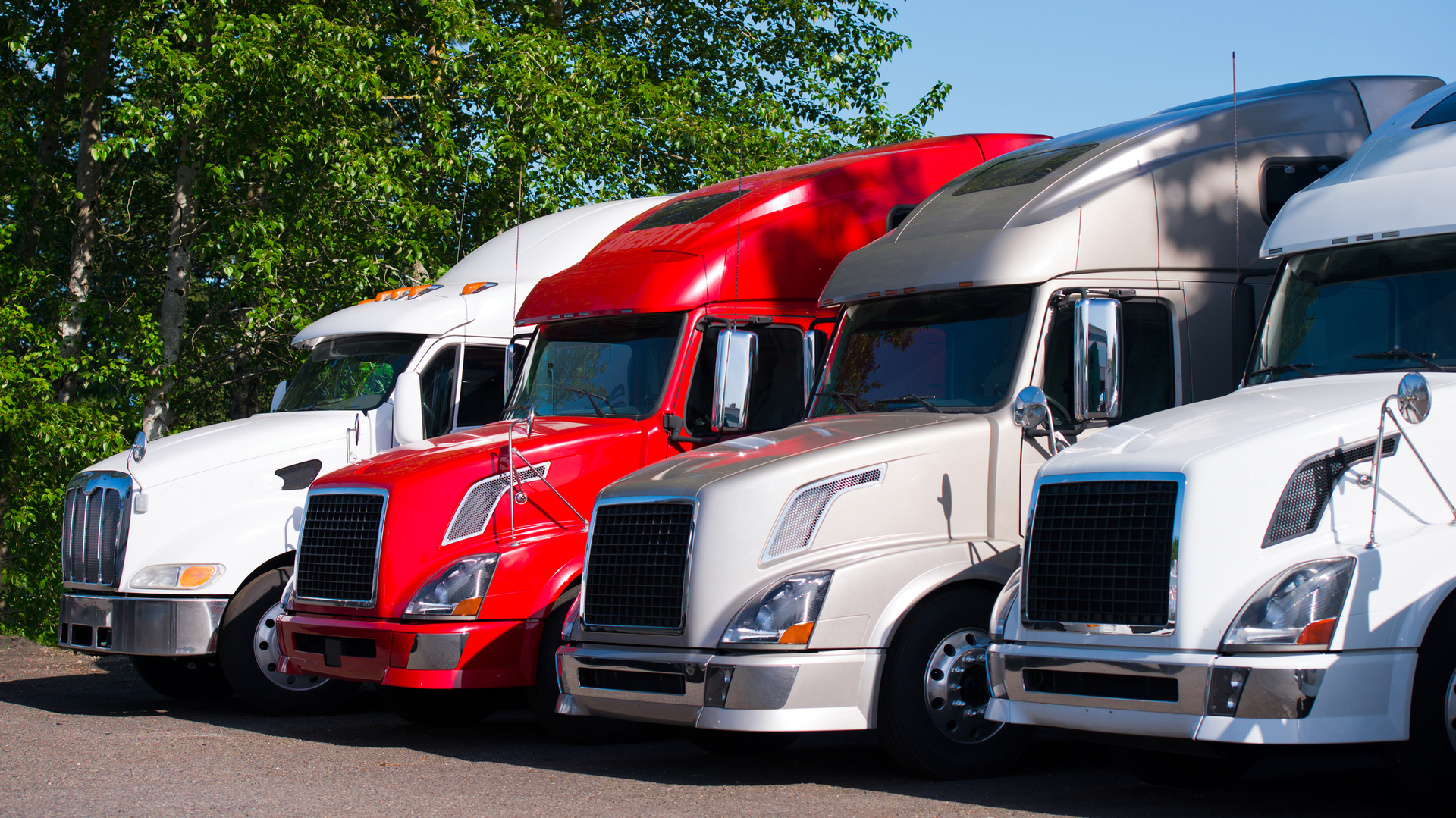 Used Trucks In A Row 61bb84905e492 61c09e437649b