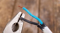 68754540 Piotr Wytr Ek Dreamstime 1 620bac2c54b83 68754540 Piotr Wytr Ek Dreamstime 1 620bac2c54b83