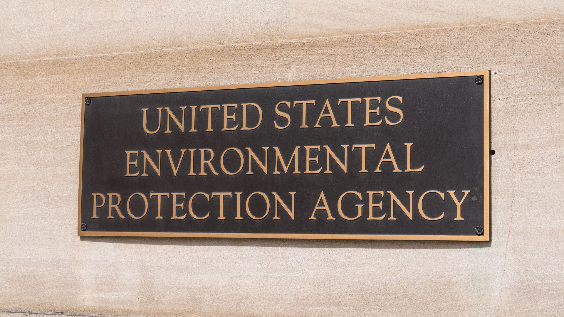 113230993 Paul Brady Dreamstime 6227d46c12fc9