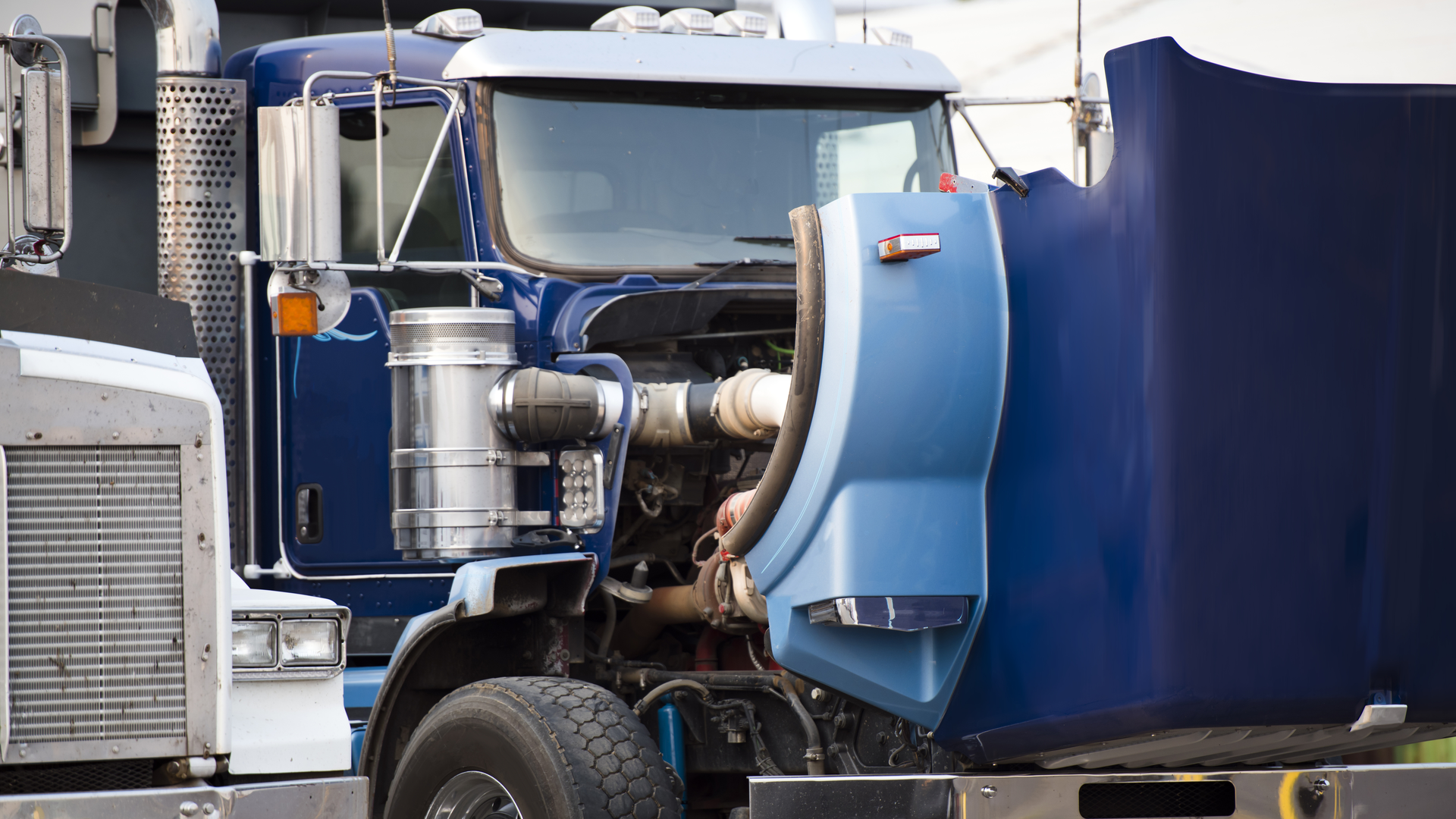 Dreamstime Xl 137887770 631eaa2523dc9 6320bddcd28ac